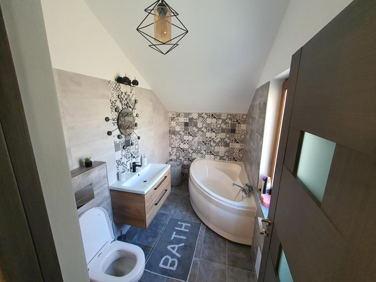 Comfort Home Apartment 3 Petroşani エクステリア 写真