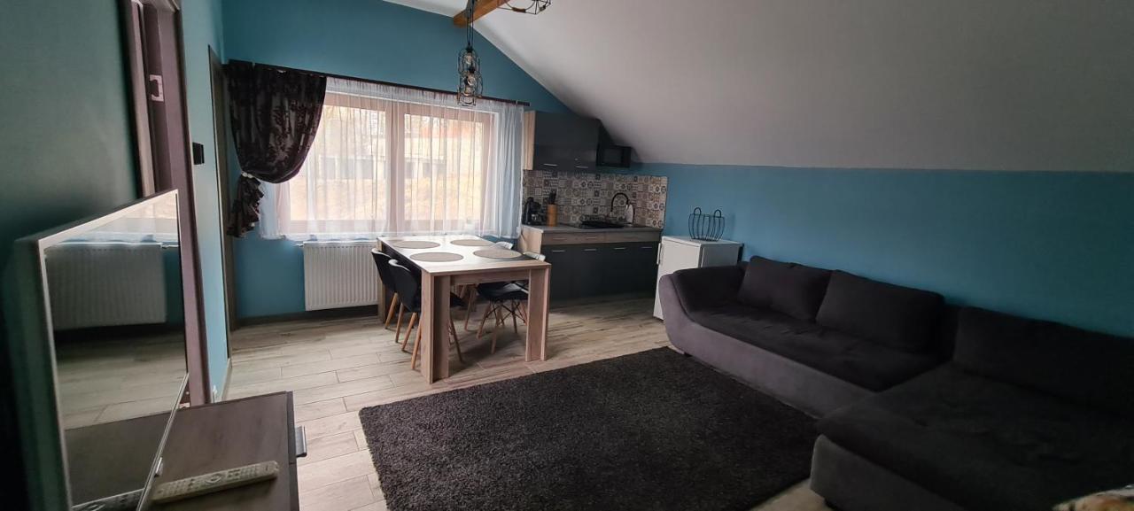 Comfort Home Apartment 3 Petroşani エクステリア 写真