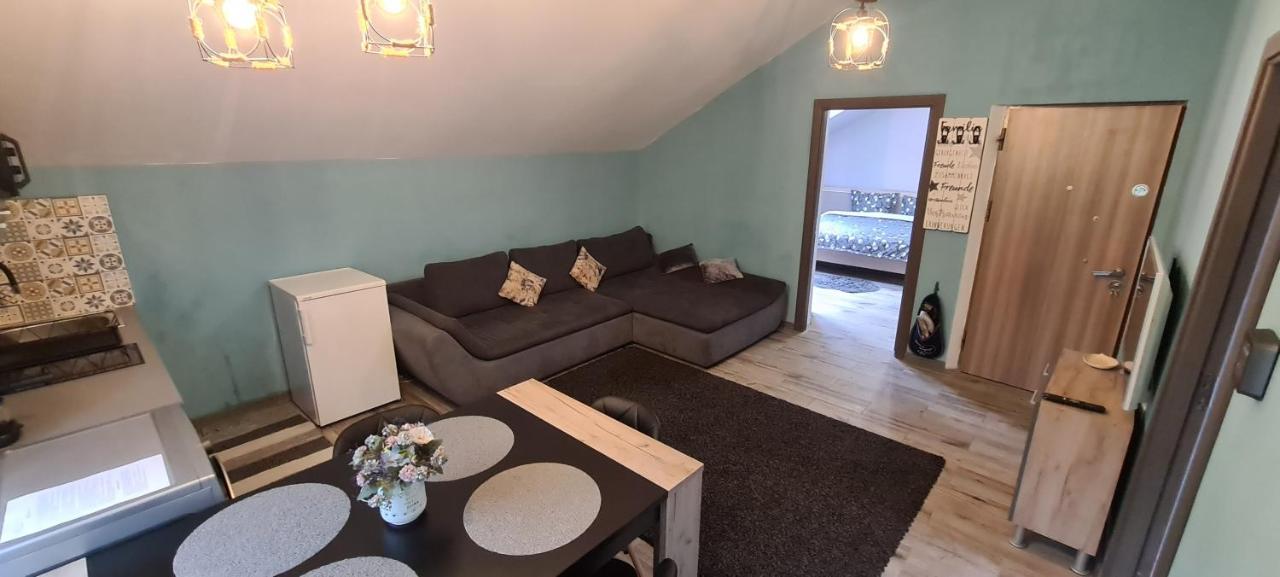 Comfort Home Apartment 3 Petroşani エクステリア 写真