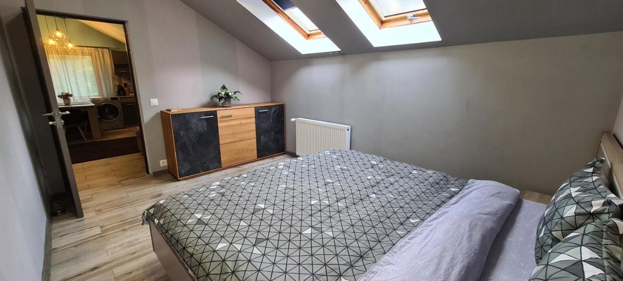 Comfort Home Apartment 3 Petroşani エクステリア 写真