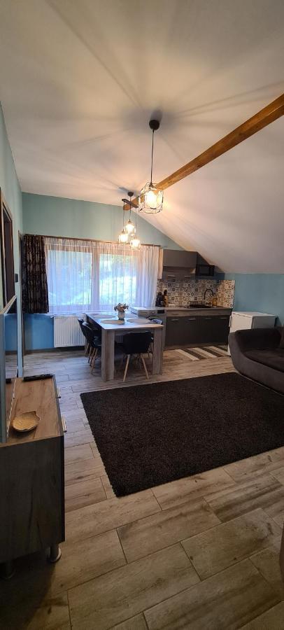 Comfort Home Apartment 3 Petroşani エクステリア 写真